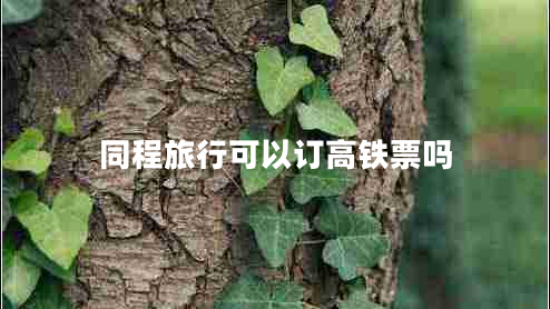 同程旅行可以訂高鐵票嗎