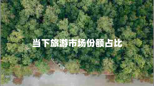 當下旅游市場(chǎng)份額占比