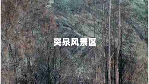 突泉風(fēng)景區