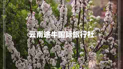 云南途牛國際旅行社