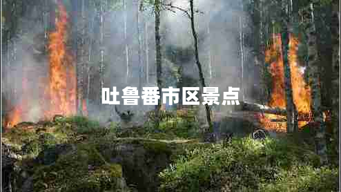 吐魯番市區景點(diǎn)