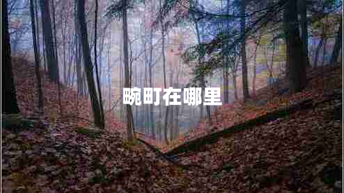 畹町在哪里 畹町在哪里