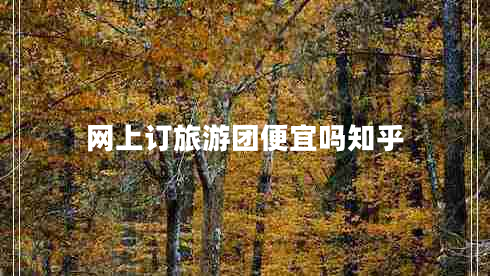 網(wǎng)上訂旅游團便宜嗎知乎