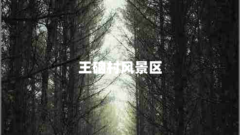 王硇村風(fēng)景區