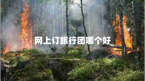 網(wǎng)上訂旅行團哪個(gè)好