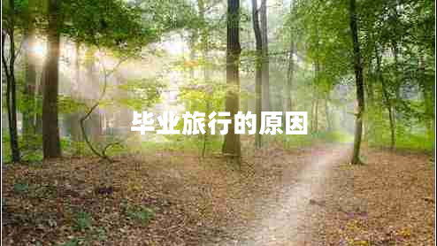 畢業(yè)旅行的原因