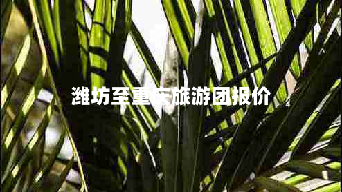 濰坊至重慶旅游團報價(jià)