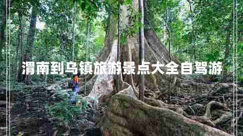 渭南到烏鎮旅游景點(diǎn)大全自駕游 渭南到烏鎮旅游景點(diǎn)大全自駕游