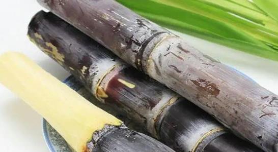 甘蔗施什么肥料最甜