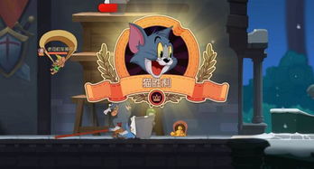 捕捉大點(diǎn)的老鼠有哪些方法