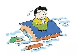 洪水來(lái)臨時(shí)你能想出哪些自救的方法