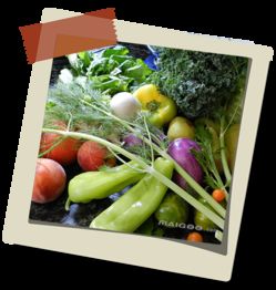 蔬菜的家庭養殖方法有哪些