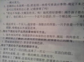 句子應用的描寫(xiě)方法有哪些