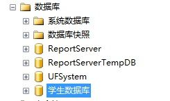 數據庫安全控制的常用方法有哪些