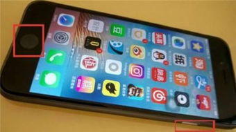 蘋(píng)果手機種子方法有哪些