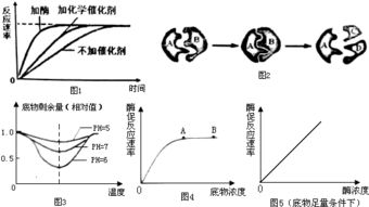 科學(xué)的分離方法有哪些特點(diǎn)