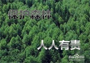 保護森林方法有哪些