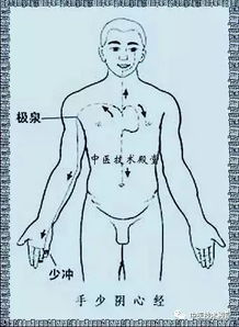 經(jīng)絡(luò )疏通有哪些方法