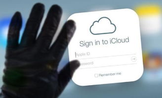 哪些是利用網(wǎng)絡(luò )收集市場(chǎng)信息的方法6