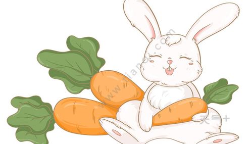 動(dòng)物的避暑方法有哪些簡(jiǎn)筆畫(huà)