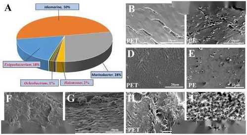 細菌純培養方法有哪些