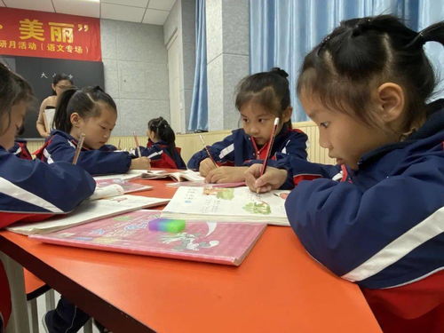 小學(xué)實(shí)驗及方法有哪些