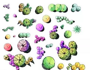 植物設計的方法有哪些特點(diǎn)是什么意思