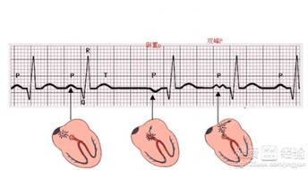 過(guò)性過(guò)程與方法有哪些內容