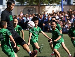 體育復式教學(xué)方法有哪些