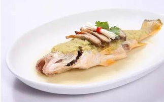 養生魚(yú)方法有哪些