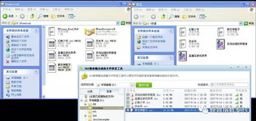 怎么設置病毒方法有哪些