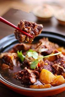 關(guān)于羊蝎子詩(shī)句