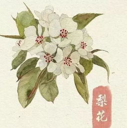 關(guān)于鵬龍的詩(shī)句