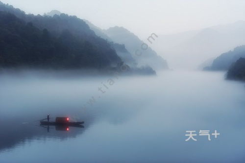 舊交,詩(shī)句,描寫(xiě),忘記