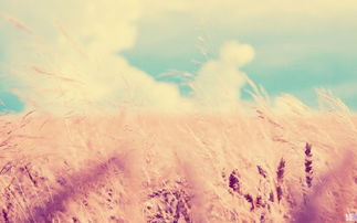 關(guān)于心心念念的詩(shī)句