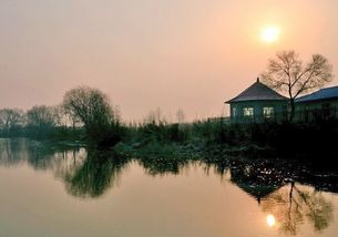 詩(shī)句,贊美,故鄉