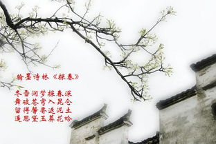 關(guān)于春月山的詩(shī)句