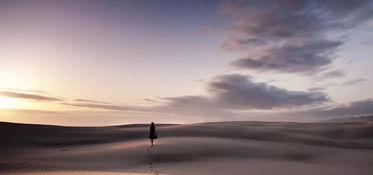 關(guān)于行走在路上的詩(shī)句