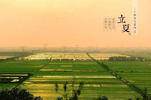 立夏,詩(shī)句,美景