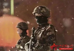 詩(shī)句,贊賞,軍人