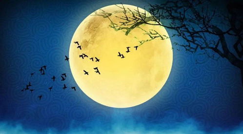 月球,古詩(shī),詩(shī)句,描寫(xiě)