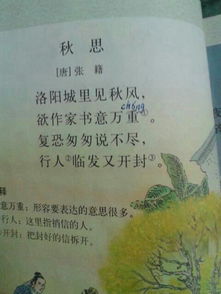 關(guān)于秋天思鄉的詩(shī)句古詩(shī),寫(xiě)秋天思鄉的詩(shī)句,形容秋天思鄉的詩(shī)句