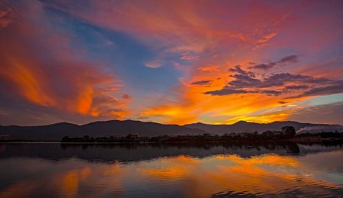 桑榆的古詩(shī)句