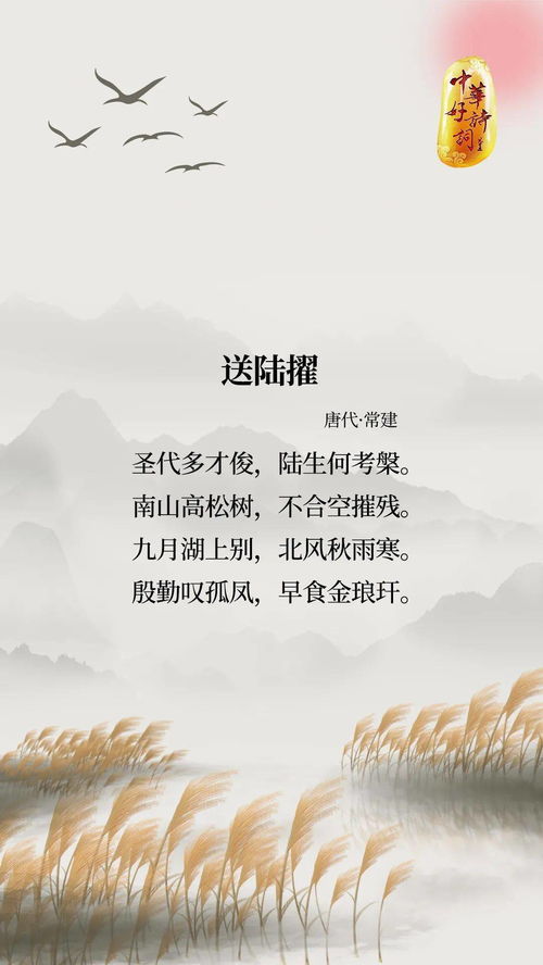 詩(shī)句,最長(cháng),于月