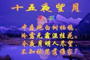 關(guān)于思念家鄉的詩(shī)句賀知章