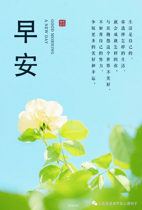 關(guān)于積極向上的古詩(shī)句,積極向上的古詩(shī)句子,積極向上的古詩(shī)句書(shū)法作品