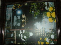 詩(shī)句,學(xué)校,體育