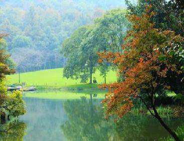 描寫(xiě)西湖的詩(shī)句古詩(shī)詞,四年級描寫(xiě)西湖的詩(shī)句,關(guān)于西湖的詩(shī)句古詩(shī)詞