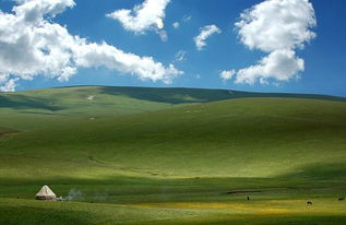 描寫(xiě)伊犁草原的優(yōu)美古詩(shī)句