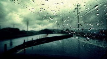 蘭花的詩(shī)句古詩(shī)名張宇